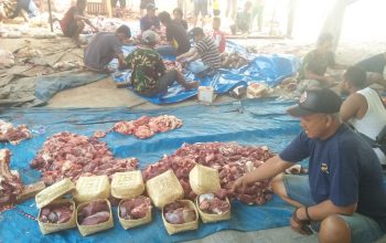 WhatsApp Image 2019-08-11 at 16.31.25