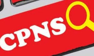 Senin Malam, Para Pelamar CPNSD Sudah Bisa Daftar