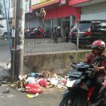 Diduga Habis Makanan di Gunung Banten, Beberapa Ekor Kera Nyeberang ke Ruko