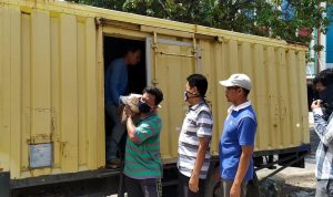 Pemkot Bandarlampung Salurkan Beras Bantuan Mulai Hari Ini