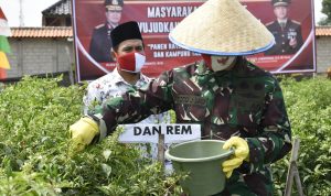 Hadapi New Normal, Danrem 043/Gatam Bersama Kapolda Lampung Gelar Panen Raya di Kampung Tangguh Nusantara
