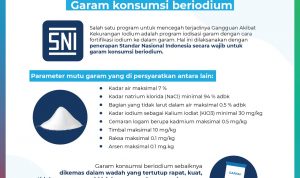 Ini Pentingnya Konsumsi Garam, BSN Tetapkan SNI Garam Beriodium