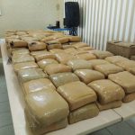 BNNP Lampung Ungkap Narkotika Jenis Ganja Seberat 206,3 Kilogram