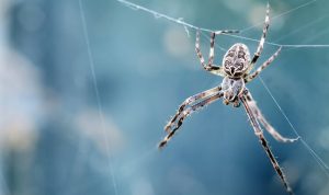 Photo by Dev Leigh on Unsplash, 5w1hindonesia.id
