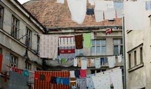 Photo by Olena Sergienko on Unsplash