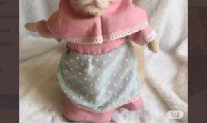 Viral Baju Muslim untuk Kucing Dijual Online, Warganet: Kucingnya Biar Insaf