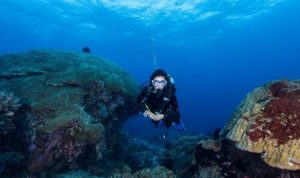 4 Kali Berturut-turut, Indonesia Raih Destinasi Selam Terbaik di Dunia