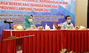 Rakor Program Bangga Kencana dengan BKKBN, Ibu Riana Arinal Minta Kader PKK Sinergikan Program KB