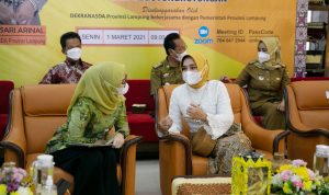 Webinar dalam Rangka HUT Ke-41 Dekranas, Riana Dorong UMKM Ciptakan Produk Kerajinan Berdaya Saing dan Marketable