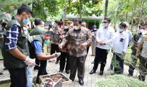 Gubernur Arinal Launching Pusat Inkubasi Tanaman Nusantara di Tahura Wan Abdul Rachman