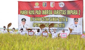 Launching Implementasi Kartu Petani Berjaya di Tulang Bawang, Gubernur Lampung Berharap Petani Dapatkan Kemudahan