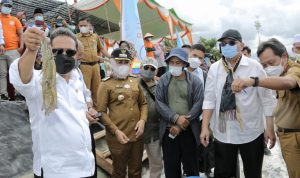 Pengembangan Komoditas Udang Lampung Direspons Positif oleh Menteri Kelautan dan Perikanan, Lampung Didorong Kembangkan Tambak Modern