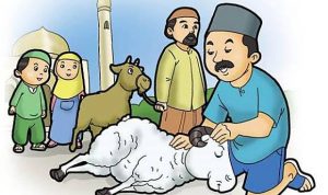 Sunah Sebelum Berkurban Sesuai Tuntunan Rasulullah