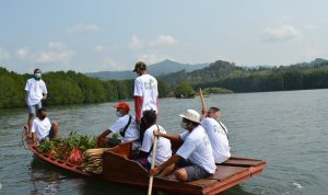 PLN Peduli Tanam 3500 Bibit Mangrove, Antisipasi Abrasi Pesisir Pantai Lampung