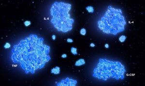 Begini Cara Menangani Badai Sitokin