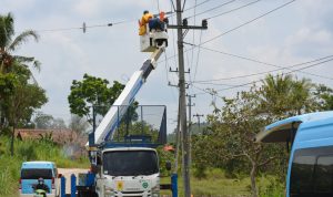 Sambut Hari Listrik Nasional ke-76, PLN UID Lampung Gelar Bakti PDKB untuk Tingkatkan Keandalan