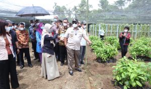 Gubernur Lampung Ajak Petani Kopi Binaan Nestle Dukung Program KPB