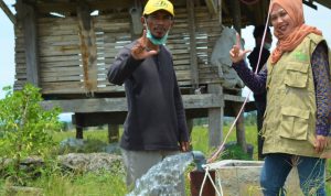 Puluhan Hektare Sawah Beralih Pakai Listrik PLN, Petani di Lampung Selatan Bisa Raup Untung Maksimal