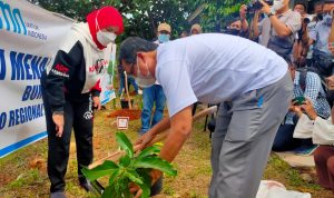 Pemkot Bersama PT Pelindo Tanam 2000 Bibit Pohon, Wali kota Eva: Banjir Bisa Semakin Berkurang