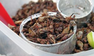 4 Makanan Tak Lazim, Tapi Punya Dampak Kesehatan yang Baik Untuk Kesehatan