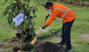 Dukung Program BUMN Hijaukan Indonesia, Divre IV Tanjungkarang Hijaukan Stasiun