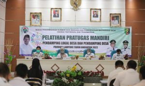 Wagub Lampung Dorong Pendamping Desa dan Pendamping Lokal Desa Jadi Agen Perubahan