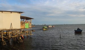WALHI Lampung Minta Pemkot dan Pemprov Usut Tuntas Pencemaran Oli di Pesisir Panjang