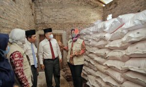 Wagub Lampung Tinjau Ketersediaan Pupuk Bersubsidi di Kabupaten Pesawaran