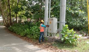 Sukseskan Ajang World Surf League Krui Pro 2022, PLN Siapkan Jaringan Listrik Andal di Pesisir Barat Lampung