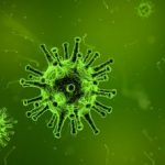 Benarkah Virus Hendra Lebih Mematikan Daripada Covid-19?
