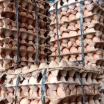Naik, Harga Telur Ayam di Pasar Unit 2 Tulang Bawang Capai Rp 30 Ribu/Kg