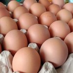 Telur Ayam di Pasar Unit 2 Tulang Bawang Naik, Begini Keluhan Pedagang Rumahan