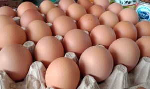 Telur Ayam di Pasar Unit 2 Tulang Bawang Naik, Begini Keluhan Pedagang Rumahan