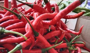 Makin Pedas, Harga Cabai Merah di Pasar Tulang Bawang Melejit Hingga Rp 95 Ribu Per Kilogram