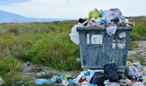 Tips Mudah Menghapus File Sampah di Smartphone dengan Bantuan Google