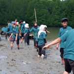 Dukung Pelestarian Lingkungan, PLN Tanam 4.000 Mangrove dan Bangun Fasilitas Ekowisata Mangrove
