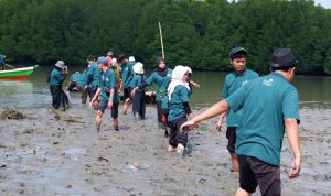 Dukung Pelestarian Lingkungan, PLN Tanam 4.000 Mangrove dan Bangun Fasilitas Ekowisata Mangrove