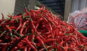 Cabai di Pasar Unit 2 Tulang Bawang Tak Kunjung Turun, Harga Tomat dan Mi Instan Ikut Naik