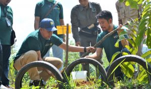 PLN dan Balai Besar TNBBS Gelar Aksi Bersih-bersih Sampah di Ruas Jalan Sanggi-Bengkunat