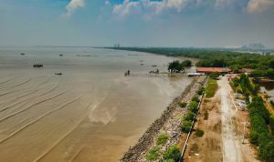 Peringatkan Gelombang Tinggi 6 Meter, BMKG: 4 Kapal Ini Punya Risiko Tinggi