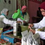 Program TJSL PLN Bantu UMK Naik Kelas, Produksi dan Omzet Melesat