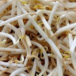 Intip, Berikut Daftar 5 Manfaat Toge Mentah Bagi Kesehatan