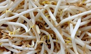 Intip, Berikut Daftar 5 Manfaat Toge Mentah Bagi Kesehatan