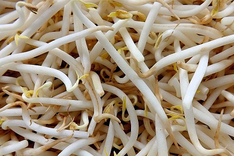 manfaat toge mentah
