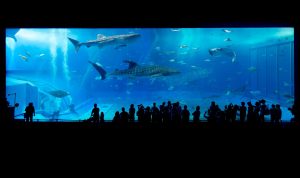 7 Tempat Wisata di Jakarta, Cocok Dikunjungi Akhir Pekan!