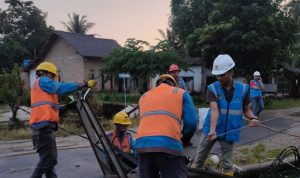 Usai Cuaca Ekstrem, PLN Gerak Cepat Pulihkan 100 Persen Kelistrikan Dua Kabupaten di Lampung