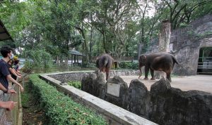 Rekomendasi 5 Tempat Liburan Nataru Murah Meriah di Jakarta