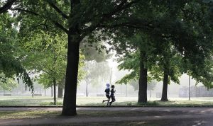 Eco Park Tebet: Harga Tiket Serta Aktivitas yang Bisa Dilakukan