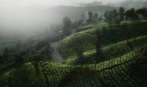Daftar 5 Destinasi Wisata Dekat Jakarta, Dijamin Anti Mainstream!