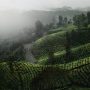 destinasi wisata dekat Jakarta